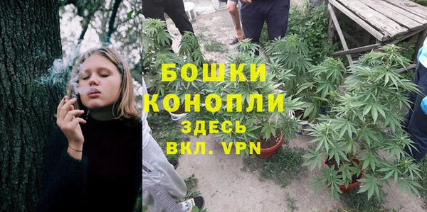 MESCALINE Новодвинск